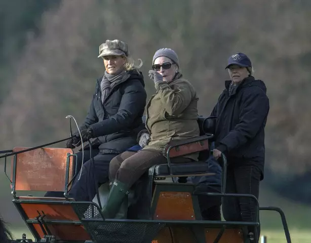 ¿Los carruajes tirados por caballos tenían frenos?