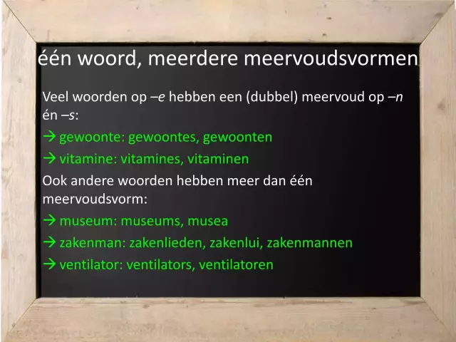 Heeft de nomenclatuur een meervoud?